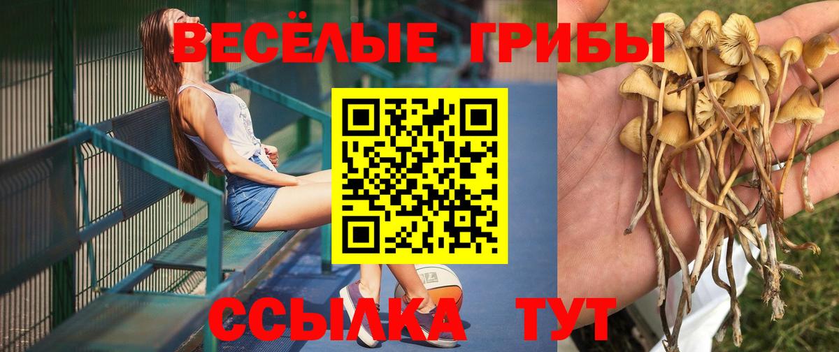 Галлюциногенные грибы прущие грибы  Псилоцибиновые грибы GOLDEN TEACHER  Вход с VPN  Пугачёв 
