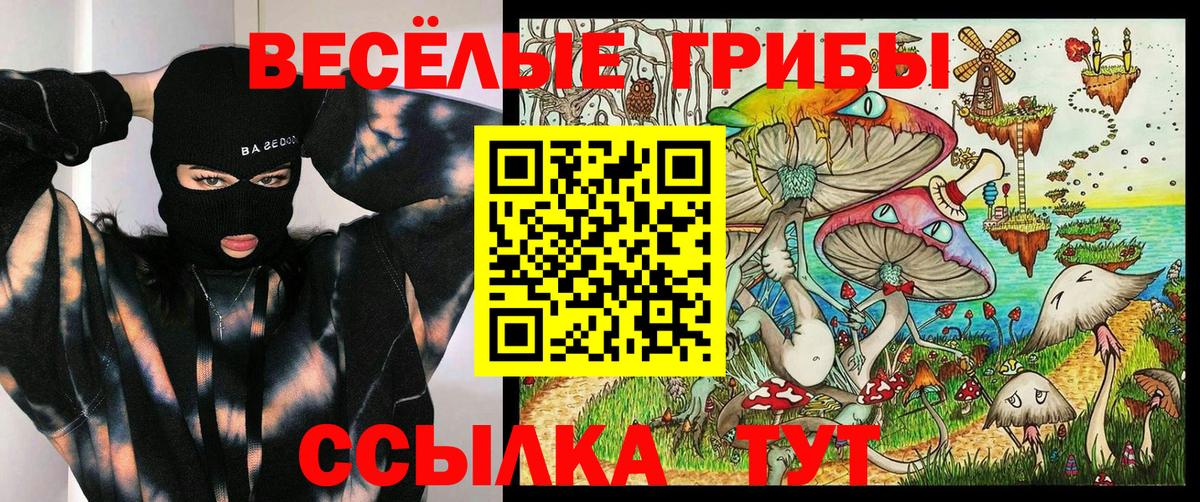 Псилоцибиновые грибы ЛСД Пугачёв