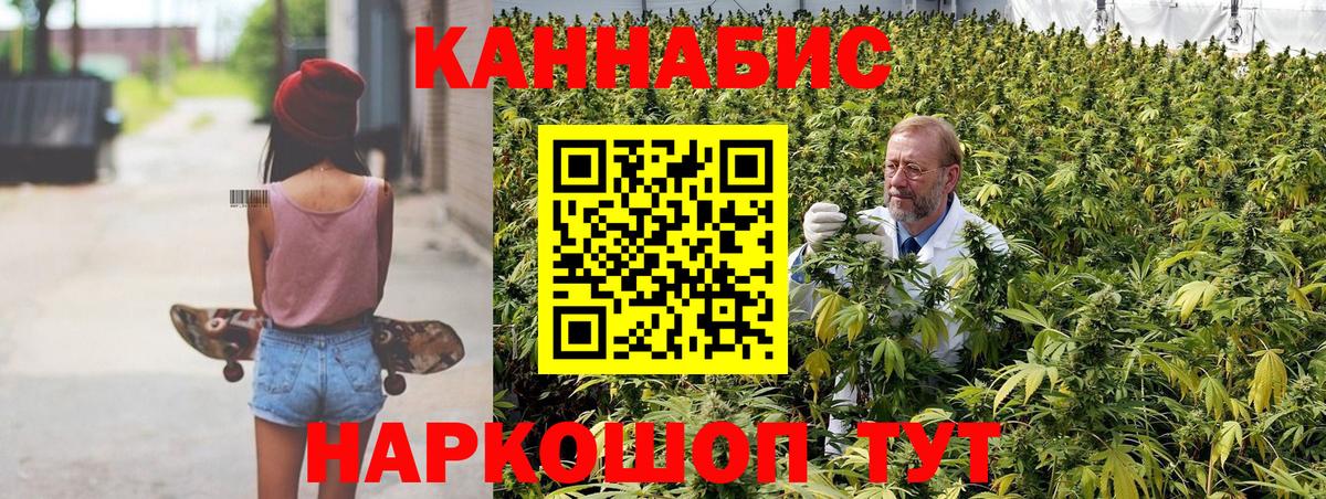 Пугачёв  Шишки марихуана план  Вход с VPN  Канабис конопля  Конопля гибрид 